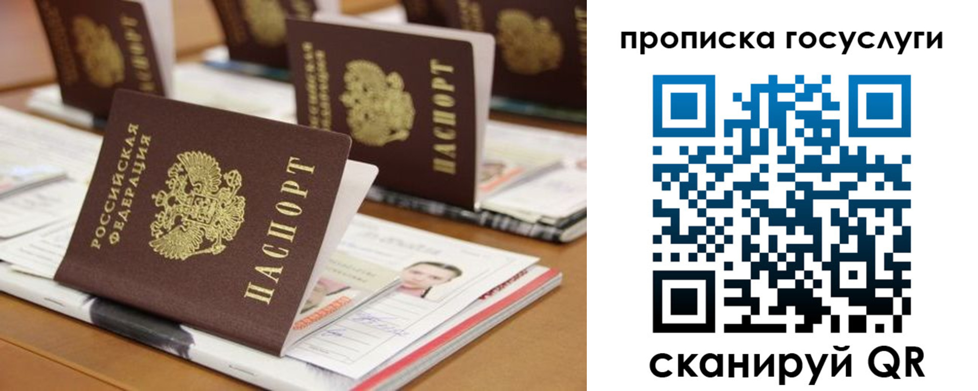 регистрация для дет. сада в Луге